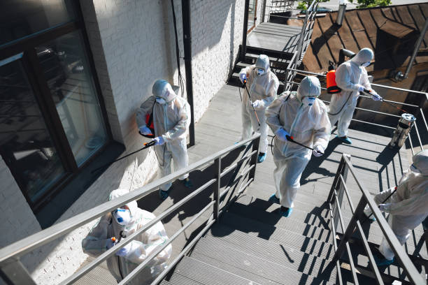 Best Emergency Mold Remediation  in West Jefferson, OH