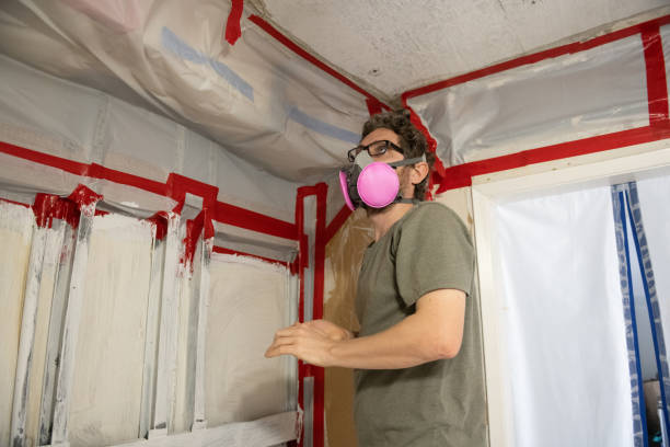 Best Industrial Mold Remediation  in West Jefferson, OH