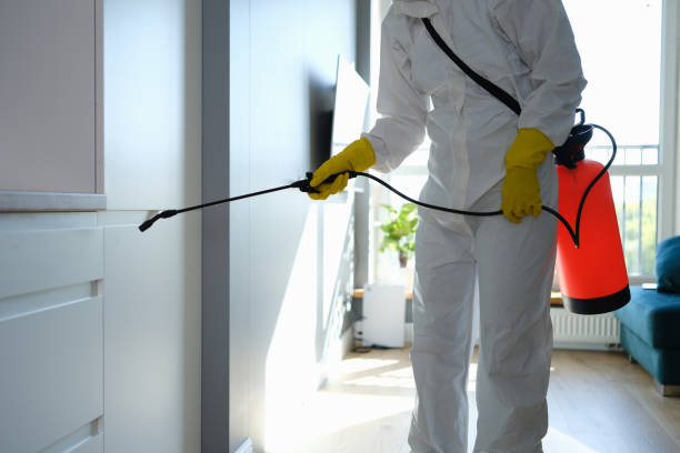 Best Airborne Mold Testing  in West Jefferson, OH